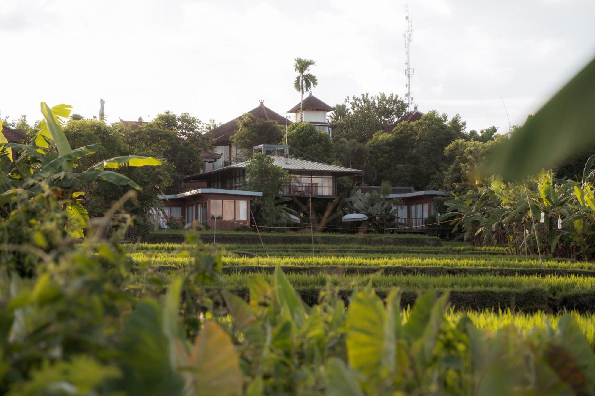 Gruen Ubud Exterior foto